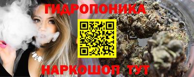 меф Кингисепп