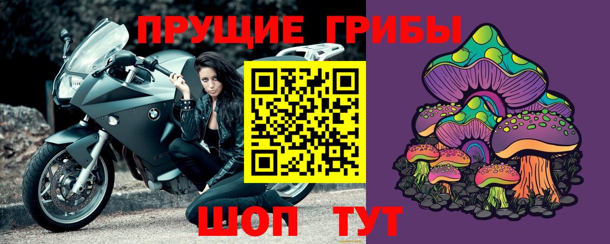 Псилоцибиновые грибы GOLDEN TEACHER  Вход с VPN  Сибай 